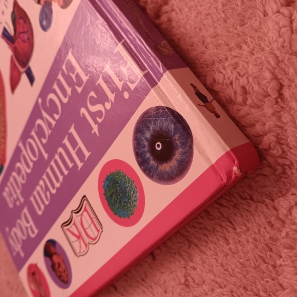 First Human Body Encyclopedia Book - Picture 4 of 11